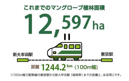 これまでのマングローブ植林面積 12,597ha 距離 1244.2km(100m幅) ※100m幅で新幹線の東京駅から新大牟田駅(福岡県)までの距離と、ほぼ同じです。