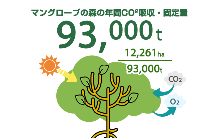 マングローブの森の年間CO2吸収・固定量 93,000t 12,261ha/93,000t