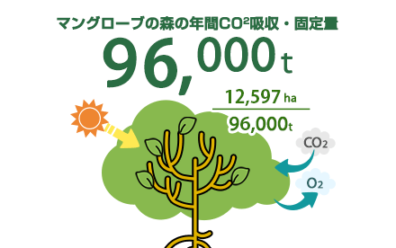 マングローブの森の年間CO2吸収・固定量 96,000t 12,597ha/96,000t