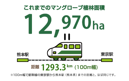 これまでのマングローブ植林面積 12,970ha 距離 1293.3km(100m幅) ※100m幅で新幹線の東京駅から熊本駅(熊本県)までの距離と、ほぼ同じです。
