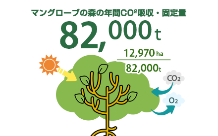 マングローブの森の年間CO2吸収・固定量 82,000t 12,970ha/82,000t