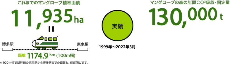 実績　1999年～2022年3月　これまでのマングローブ植林面積11,935ha＝距離1174.9km（100m幅） 博多駅～東京駅 ※100m幅で新幹線の東京駅から博多駅までの距離と、ほぼ同じです。　マングローブの森の年間CO2吸収・固定量130,000t