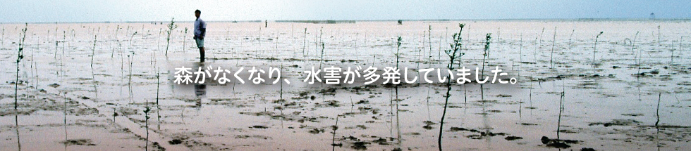 森がなくなり、水害が多発していました。