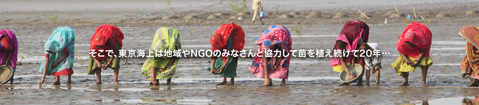 そこで、東京海上日動は地域やNGOのみなさんと協力して植林を続けて20年…