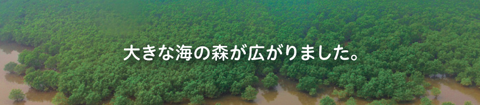 大きな海の森が広がりました。