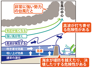 図1：台風による高潮発生の様子