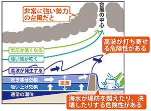 図1:台風による高潮発生の様子
