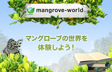 mangrove-world マングローブの世界を体験しよう！